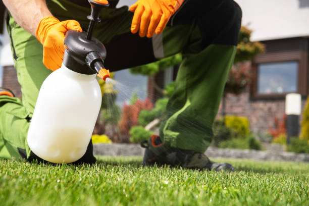 Reliable Pilot Rock, OR Pest Control Solutions