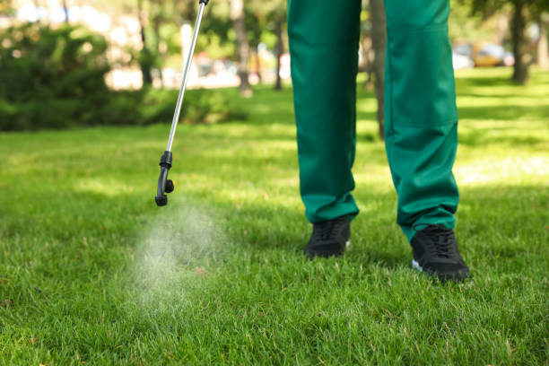 Best Mosquito Control Services  in Pilot Rock, OR