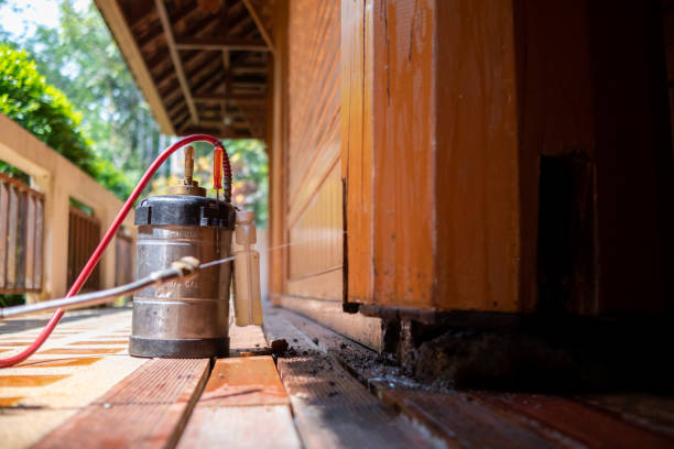 Best Residential Pest Control  in Pilot Rock, OR