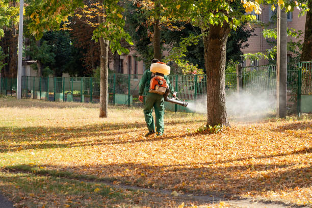 Best Best Pest Control Companies  in Pilot Rock, OR