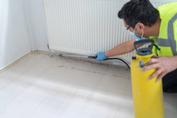 Best Pest Control Near Me  in Pilot Rock, OR